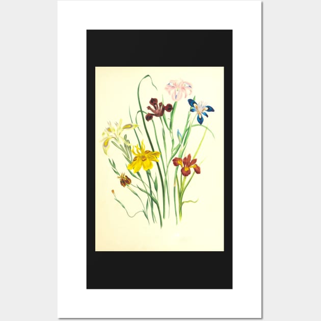 Wildflowers - Nature Inspired Wall Art by JDVNart